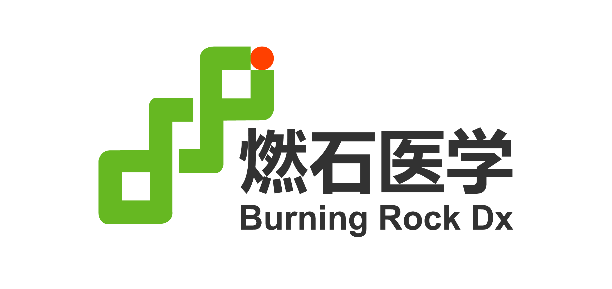 Burning Rock Biotech Limited